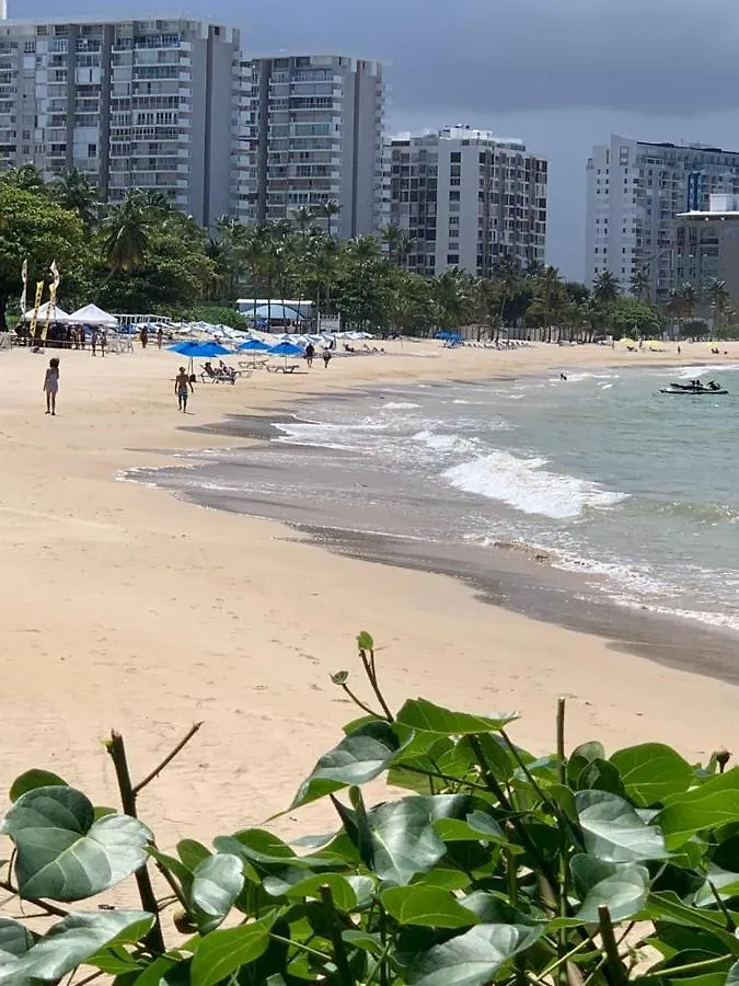 Ricomar Beach Front Studio 산후안 0*,